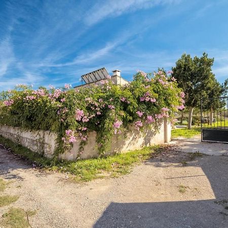 Vila Es Camp Pla Sineu  Exteriér fotografie